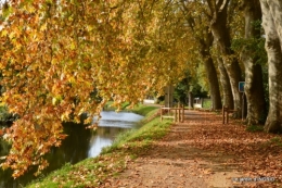 canal automne ,jardin,Ines 102.JPG