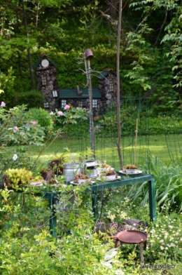 jardin soir et matin 082.JPG