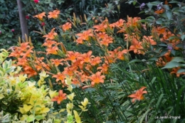 en juin jardin 047.JPG