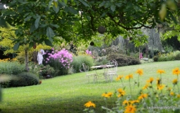 tournesols,pt jardin,nénuphard,libellules,lavande bouquet,carava 082.JPG
