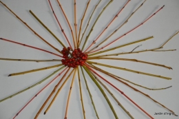 matin d'hiver,tableaux de fleurs janvier 075.JPG