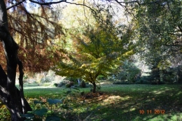 automne