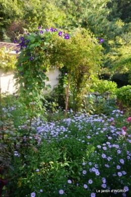 jardin chandelier,asters,puces 147.JPG
