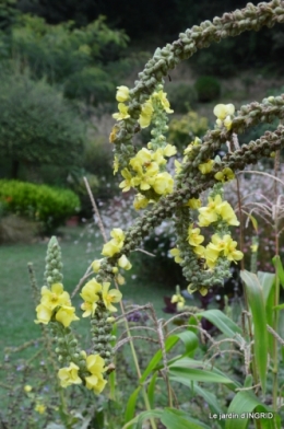 les Métallies,jardin ,visiteurs 121.JPG