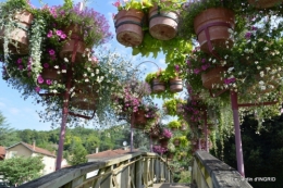 jardin,les filles,gerbera,Lalinde 139.JPG