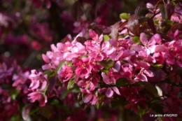 printemps,lilas,tontine 051.JPG