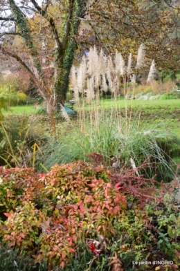 troc,automne,serre 031.JPG