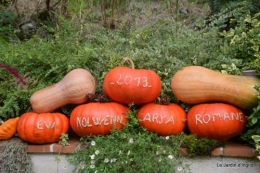 jardin octobre,chez Marylaur,Arnaud ,Ariane,la mer,sauges 022.JPG