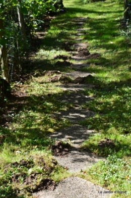 jardin octobre 022-001.JPG