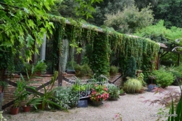 les Métallies,jardin ,visiteurs 094.JPG