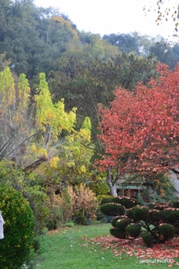 couleurs d'automne,bouquet,lune 024.JPG