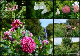 2016-09-13 bouquet,jardin de Monet,les vaches,Pourville sur mer3.jpg