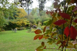 canal dentelles,Nernadette,fleurettes,apres tonte 081.JPG
