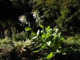 mainImage-full-12381089.jpg