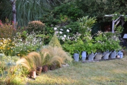 mon coin,Monique,les oies,mon jardin 011.JPG