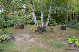 brocante st avit Se.jardin st Avt,récolte tomates 174.JPG