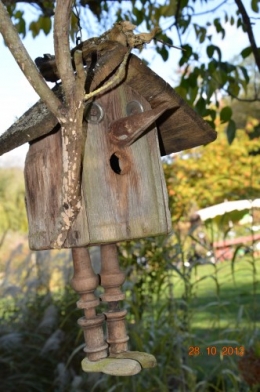 octobrejardin,citrouillesIssegeac,leCLOSdesSOURCES 109.JPG