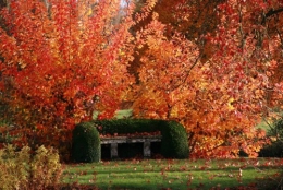bancs