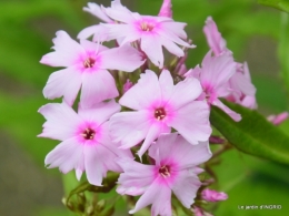 tour de France,jardinde Mme Peyrichou 009.JPG