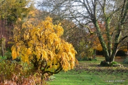 troc,automne,serre 062.JPG