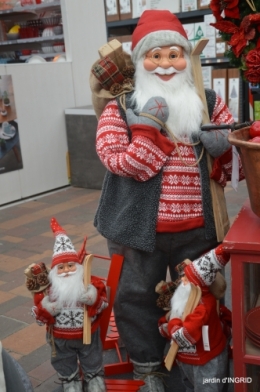 Noel jardiland,frelons,serre,feuilles 097.JPG