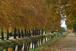 canal automne ,jardin,Ines 119.jpg