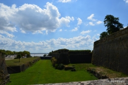 jardin maison Fabien,citadelle de Blaye 031.JPG
