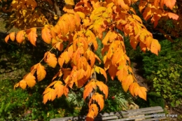 anniversaire Mamy,chateau d'eau,jardin automne 070.JPG