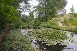 orage,puces,bouquet,Anniv.Ines,Brantome,Jardins d'eau 256.JPG