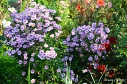male ancienne,septembre jardin,couronne,bouquet 055.JPG