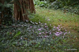 jardin ,bouquet 052.JPG