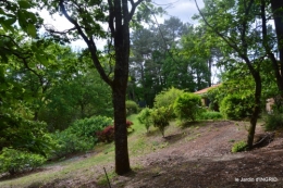 jardin,st Astier,colline 062.jpg