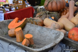 canoes,Combarel,canal automne,Issigeac,décos couronne,citrouille 226.JPG