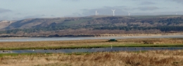 P1040005.JPG