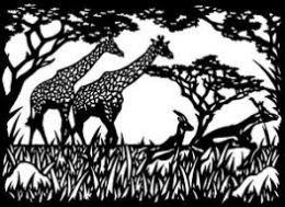 girafes guilloppé.jpg