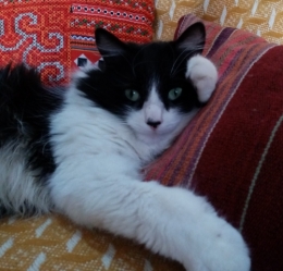 chat-01.jpg