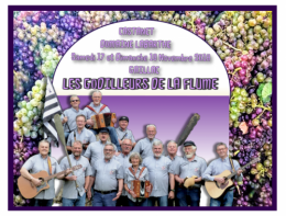 Affiche Concert à Gaillac.PNG
