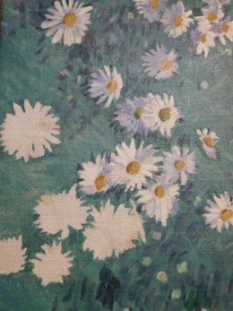 marguerites.jpg
