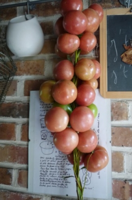 tomates de colgar 2.jpg