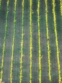 lignes 4.jpg