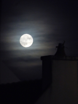 lune quiberon.jpg