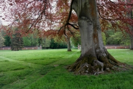 frédéric tison, photographie, château de miromesnil,parc