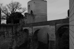 Chinon5.jpg