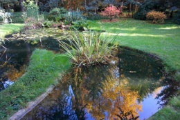 Jardin Albert-Kahn 4.JPG