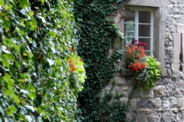 Tübingen fenêtre.jpg