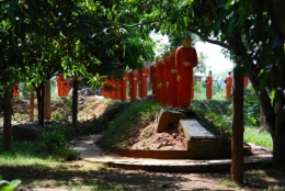 Sri Lanka - moines en rouge.jpg