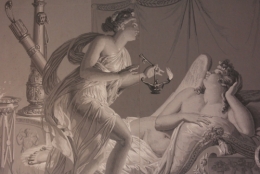 frédéric tison,photographie,musée de la révolution française,salle de psyché,amour et psyché,papier peint