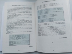 poésie première,poésie première numéro 87,frédéric tison