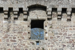 SAM_6382 b détail.jpg