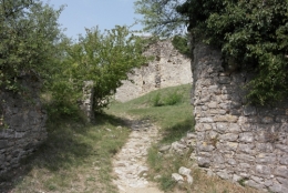 frédéric tison,photographie,vieil allan
